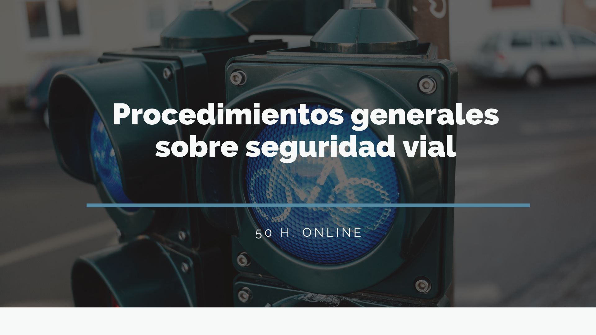 Procedimientos generales sobre seguridad vial 2026.784.1