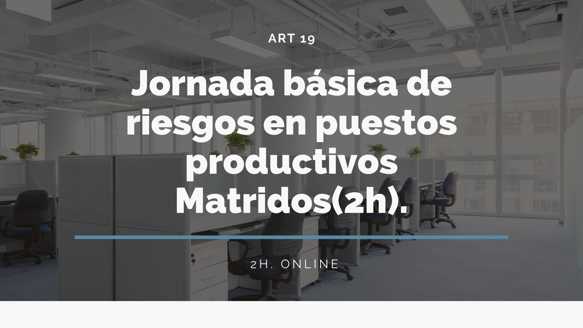 JORNADA BÁSICA DE RIESGOS EN PUESTOS PRODUCTIVOS DE MATRIDOS S.L.