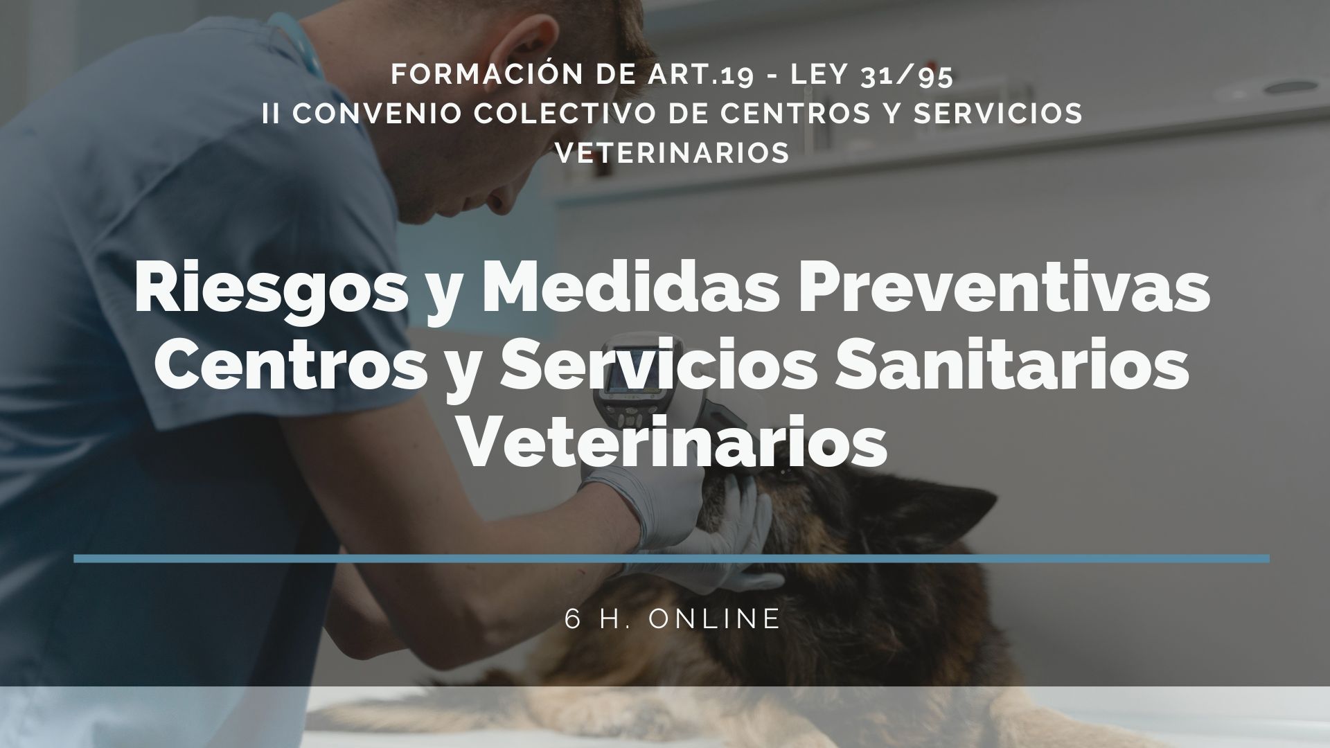 CURSO DE RIESGOS Y MEDIDAS PREVENTIVAS EN CENTROS Y SERVICIOS VETERINARIOS